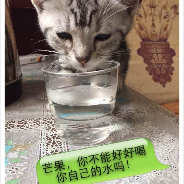 密苏里州二手闲置 毕业证成绩单认证办理